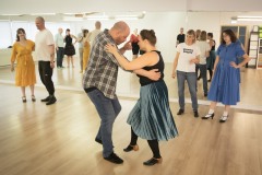 Sveiflustodin-1.06-4439