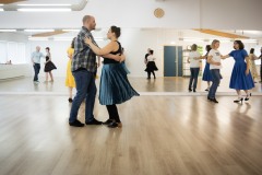 Sveiflustodin-1.06-8208