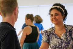 Sveiflustodin-1.06-9059