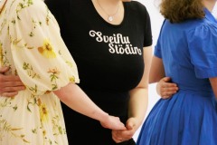 Sveiflustodin-1.06-9115