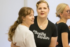 Sveiflustodin-1.06-9130