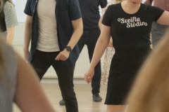 Sveiflustodin-1.06-9279