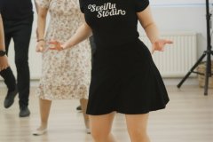 Sveiflustodin-1.06-9293