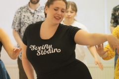 Sveiflustodin-1.06-9372