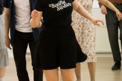 Sveiflustodin-1.06-9575